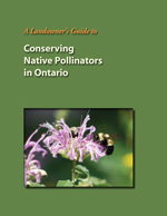 landowners guide to conserving pollinators